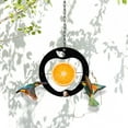 thumbnail image 7 of GiLiling Creative Oriole Bird Feeder for Outdoors, Unique Shape for Bird Feeding with Hanging Chain, Perfect for Window, Balcony, Porch, and Tree Installation, 7 of 7