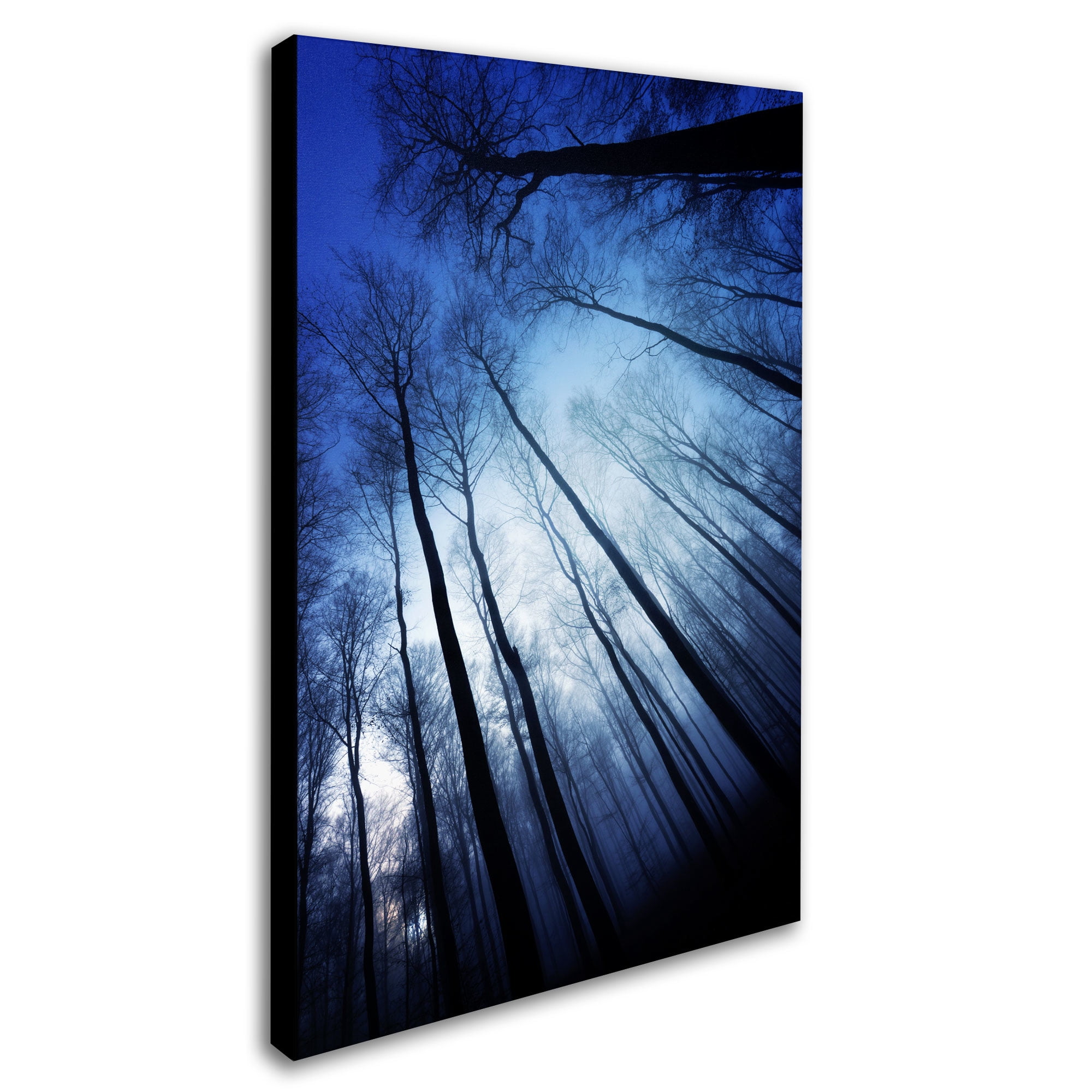 Trademark Fine Art "Blue Forest" Canvas Art by Philippe Sainte-Laudy