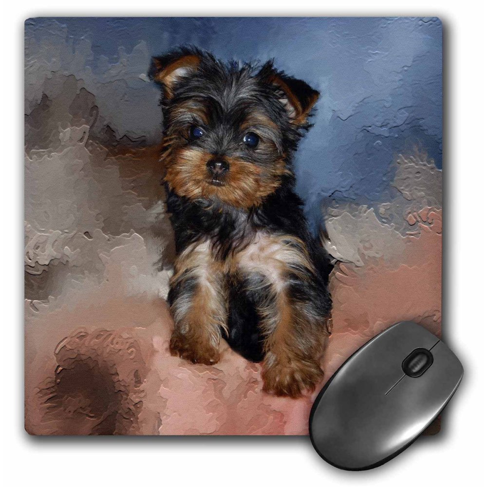 3dRose Toy Yorkie Puppy, Mouse Pad, 8 by 8 inches