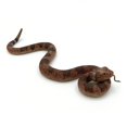 thumbnail image 1 of Juguete con forma de serpiente falsa HOHAJIU, cascabel, goma, 26 cm, Scare Birds, 1 of 8