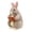 C, variant on A Cute Plush Bunny Rabbit With Pineapple Stuffed Animal Soft Doll Easter Decoration Year Of The Rabbit Toy For Kids