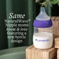 thumbnail image 4 of Lansinoh Anti-Colic Baby Bottles for Breastfeeding Babies, 160 ml (5 Ounces), 3 Count, Includes 3 Slow Flow Nipples, 4 of 9