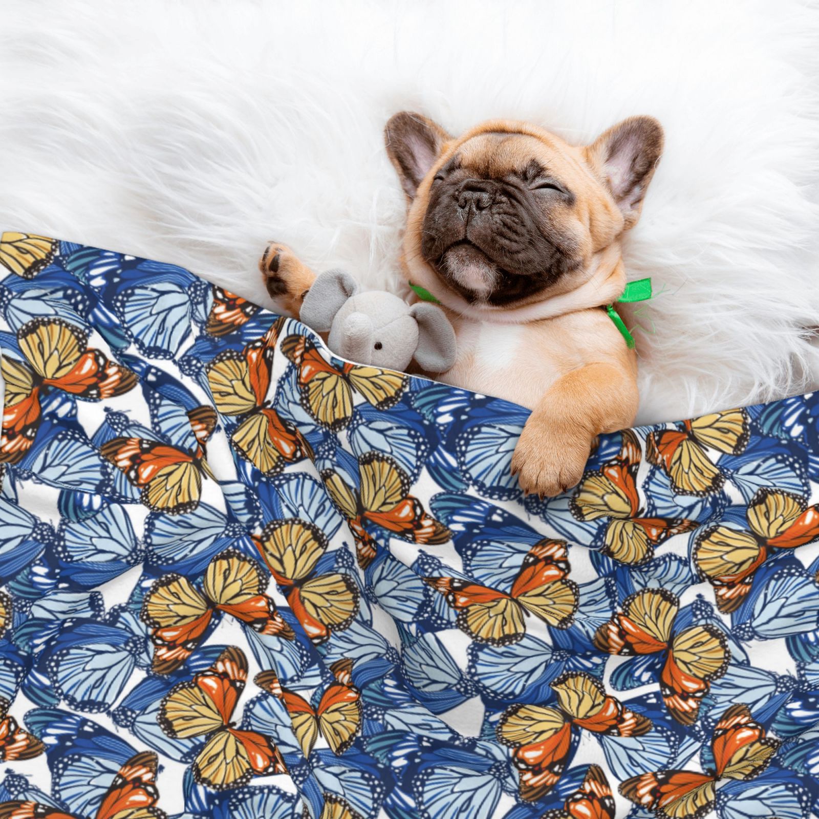 Naloa Colorful Butterfly1 Dog Blanket, 3 Sizes Cat Blanket for Indoor Cats Large Medium Small Dog Gifts-Medium