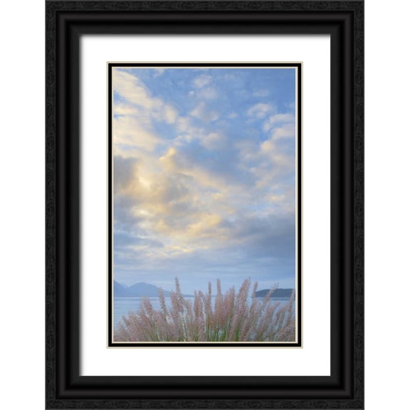 Paulson, Don 23x32 Black Ornate Wood Framed with Double Matting Museum Art Print Titled - Washington, Seabeck Pennisetum ornamental grass
