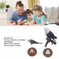 thumbnail image 2 of 4 Pcs Budgerigar Growth Cycle Toy PVC Budgie Figurine Educational Animal Life Cycle Toy for Children, 2 of 4
