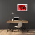 thumbnail image 4 of Brian Moore 14x11 White Modern Wood Framed Wall Art Titled - Red Poppy I, 4 of 5