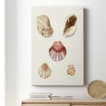 thumbnail image 6 of Pastel Knorr Shells V Premium Gallery Wrapped Canvas - Ready to Hang, 6 of 9