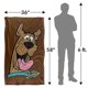 thumbnail image 5 of Scooby Doo Scooby Happy Silky Touch Super Soft Throw Blanketfsgyde48, 5 of 5