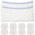thumbnail image 1 of EeaseCA 10pcs Unisex Incontinence Mesh Pants Maternity Pads Briefs Disposable Underwear Size L(Blue, Random Color), 1 of 8