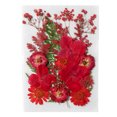 thumbnail image 4 of Monstrate Flores secas naturales Artísticas Flores prensadas en relieve DIY Colorido Hermoso adorno Postales para tarjetas de boda Velas de resina Rojo 5piezas Monstrate CBP186880, 4 of 4