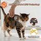 thumbnail image 4 of 2X Lector de Bluetooth para Mascotas, Escáner Lector de Etiquetas de Universal para Animales (Inalámbrico de 2,4 GHz + Bluetooth + USB), Q40, 4 of 5