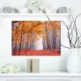 thumbnail image 1 of Arbres Magnifiques avec Feuilles Tombées - Impression sur Toile Photographie de Paysage, 1 of 3
