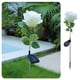 thumbnail image 4 of Decoraciones navideñas, adornos navideños, regalos navideños, decoración de temporada, luces solares de suelo con rosas de simulación, impermeables para exteriores, para jardín, césped, luz LED de reg, 4 of 9
