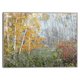 thumbnail image 1 of Cuadro Decorativo - Rueda de color Jr Impresión en canvas, estrechado, 1 of 2