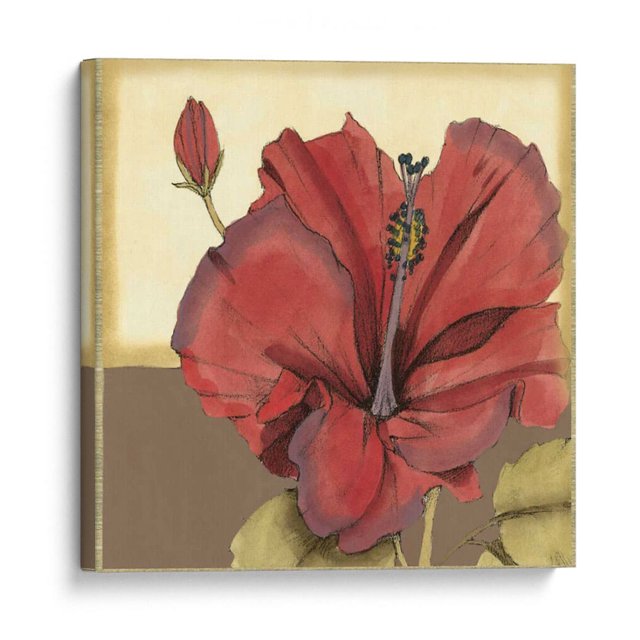 Cuadro decorativo - Hibisco Sofisticado Recortado Iv, Jennifer Goldberger 120x120 Canvas Lab abstracción, arte abstracto, abstracto