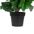 thumbnail image 5 of Northlight 11" Cream Potted Silk Begonia Spring Artificial Floral Arrangement, 5 of 5