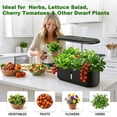 thumbnail image 5 of MATSKY 10 Pods Hydroponic Growing System with LED Grow Light, 5L Indoor Herb Garden Starter Kit with Quiet Smart Water Pump & Auto Timer, Black, 5 of 8