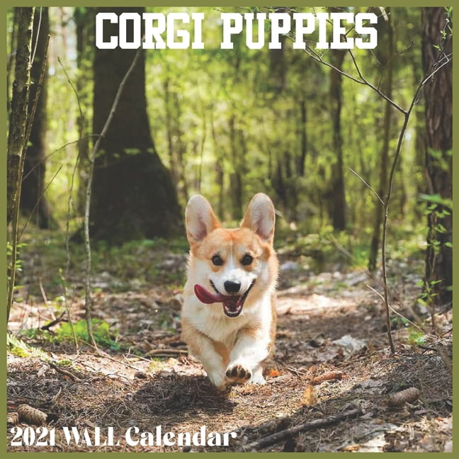 Corgi Puppies 2021 Wall Calendar Official Pembroke Welsh Corgi Calendar 2021 Paperback Walmart Com Corgi Puppies 2021 Wall Calendar Official Pembroke Welsh Corgi Calendar 2021 Paperback Walmart Com