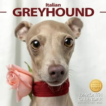 2026 Wall Calendar Italian Greyhound Planner Calendar, Hangable Monthly Wall Calendar with Large Blocks for Organizing & Planning, Academic Schedule, Home, Office & family