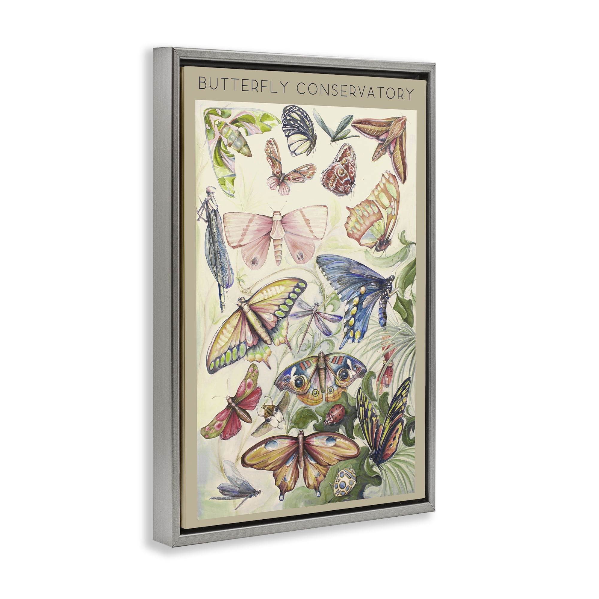 Stupell Industries Butterfly Conservatory Insects Gray Framed Floater Canvas Wall Art, design by Diannart