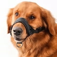 thumbnail image 7 of GASTROPOD Nylon Dog Muzzle Padded Headcollar with Adjustable Loop for Small,Medium,Large Dogs Prevent From Biting,Barking and Chewing, 7 of 7