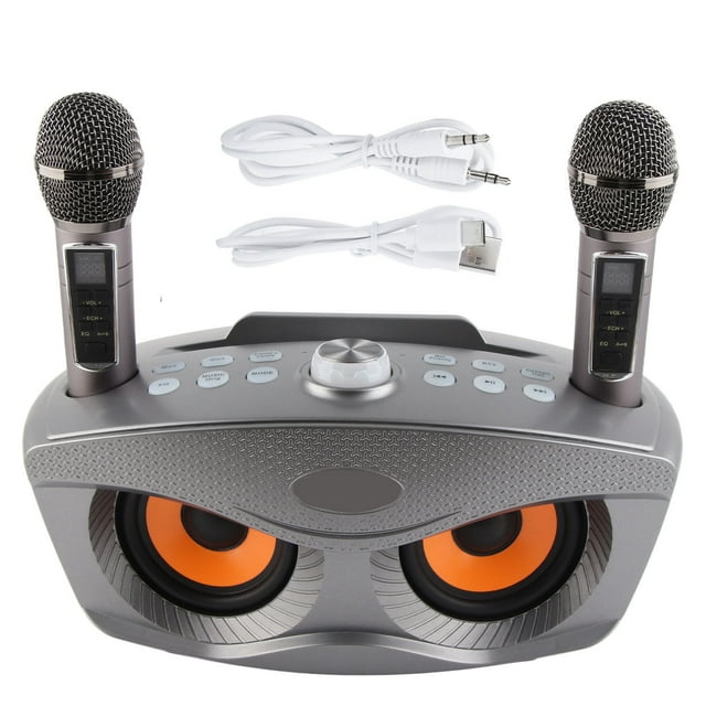 Altavoz de karaoke familiar con Bluetooth 4.2 para exteriores, micrófono inalámbrico de mano doble, estéreo, gris