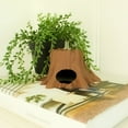 thumbnail image 4 of Clever Contraption Tree Stump Pet Hide – Terrarium Habitat Decor for Hamsters, Reptiles, and Aquarium Enclosures, 4 of 9