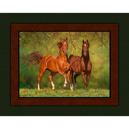 Springs Creative Wild Wings No Sew Fleece Throw Kit, Noble Statue