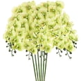 thumbnail image 1 of Uxcell 6-Pack Flores de Orquídea Artificial 9 Pétalos Grandes 37 Pulgadas Ramo de Seda Phalaenopsis Verde Claro Orquídeas Falsas para Hogar/Boda, 1 of 1