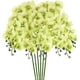 thumbnail image 1 of Uxcell 6-Pack Flores de Orquídea Artificial 9 Pétalos Grandes 37 Pulgadas Ramo de Seda Phalaenopsis Verde Claro Orquídeas Falsas para Hogar/Boda, 1 of 1