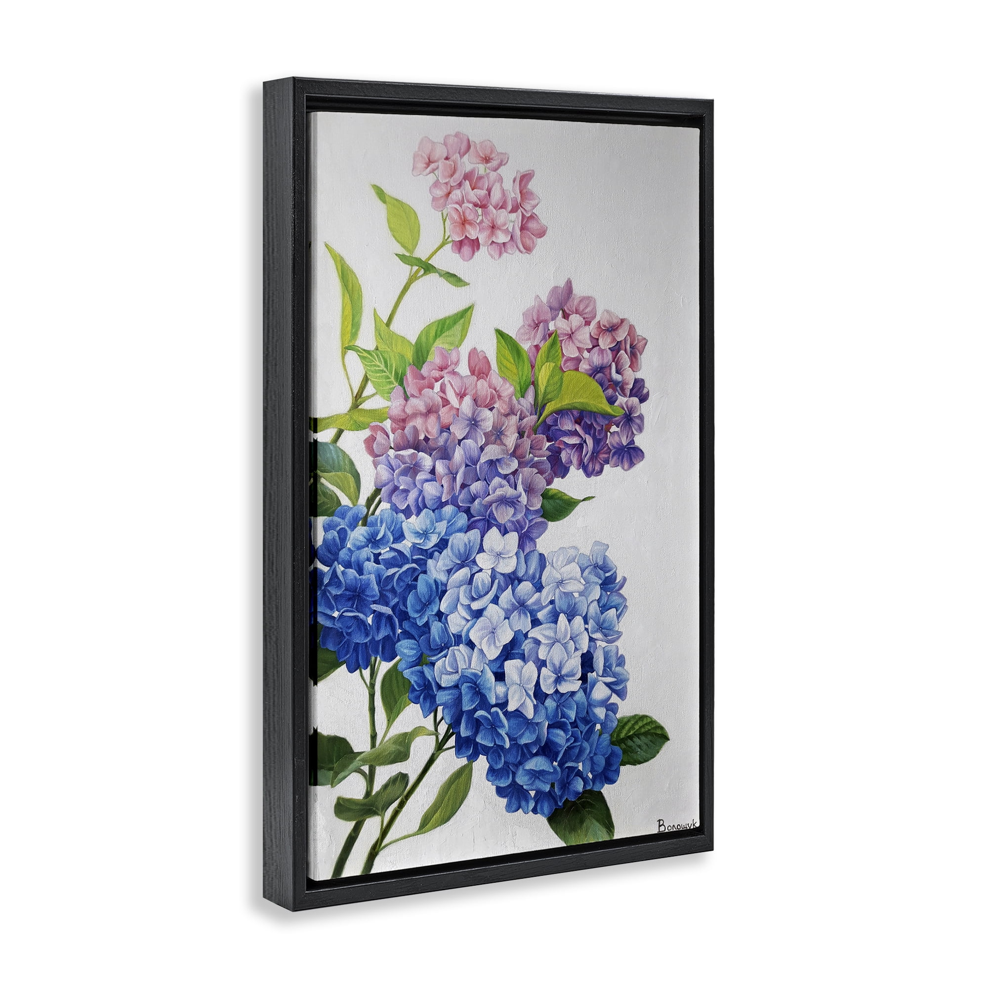 Stupell Industries Detailed Hydrangea Gradient Botanical & Floral Painting Black Floater Framed Art Print Wall Art, 21 x 31