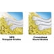thumbnail image 3 of GUM-872H Sunstar Proxabrush Limpiadores intermediarios ajustados, 10 unidades, 3 of 4