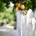 thumbnail image 4 of Phenofice Reach Fruit Picker Fruit Picker Pole Accessories for Efficient Collection in Garden 1Set, 4 of 8
