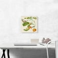 thumbnail image 2 of ARTCANVAS Branch Of Duroia Eriopila Zebra Swallowtail Butterfly 1702 Canvas Art Print by Maria Sibylla Merian - Size: 12" x 12" (0.75" Deep), 2 of 9