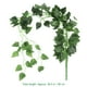 thumbnail image 5 of OUNONA - 1 pieza de hojas artificiales de Scindapsus, hiedra, plantas de enredadera para decoración del hogar, interior y exterior (hojas de Scindapsus), 5 of 6