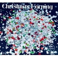 thumbnail image 2 of Glitter Heart Co. - High Quality Polyester Glitter - 1oz Bag - Christmas Morning - Christmas Chunky Mix, 2 of 2