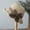 Beige, variant on Elegant Woven Straw Sun Hat with Bow Summer Beach Sun Straw Hats for Women Wide Brim Packable Travel Bucket Hats