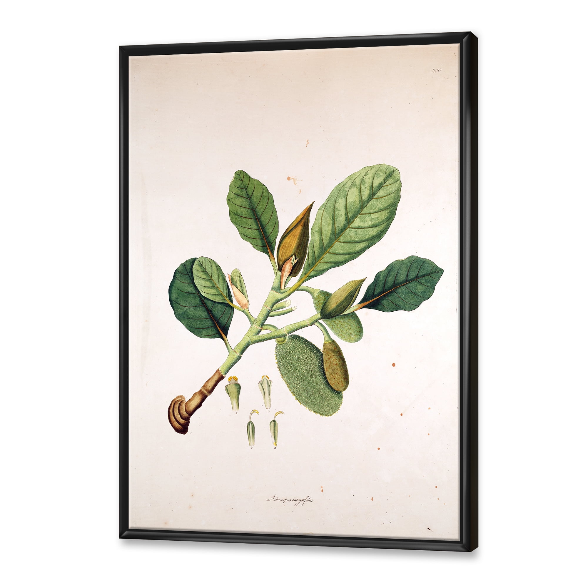 Ancient London Plants I 30 in x 40 in Framed Painting Canvas Art Print, by Designart