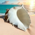 thumbnail image 5 of Large Conch Seashell Rare Brown White Spiky Natural Coastal Beach Home Decor Nautical Big Centerpiece Sea Shell Decoration Beach Collection Gift, 5 of 5