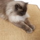 thumbnail image 1 of Rascador para Gatos, Felpudo de sisal, Alfombra para rascar  Esterilla de sisal Natural Resistente  Alfombra de 100% sisal  Alfombrilla rascador Natural para Gatos 40 x 60 cm, 1 of 7