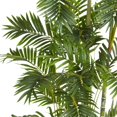 thumbnail image 1 of Nearly Natural 5337 Areca Palmier en Soie, 6 Pieds, Vert, 1 of 4