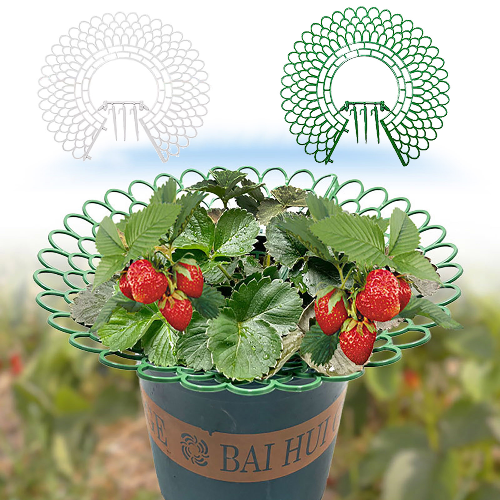 WNFJR Adjustable Strawberry Plant Support Gardening Strawberry Rack ...