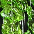 thumbnail image 2 of The Ribbon People Forest Green Decorative Strand of Flowers on Wire 1.25" x  22 Yards, 2 of 2