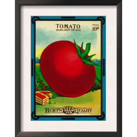 Tomato Press - Tomato Seed Packet Framed Art Print Wall Art By Lantern Press - 14.5x18.5