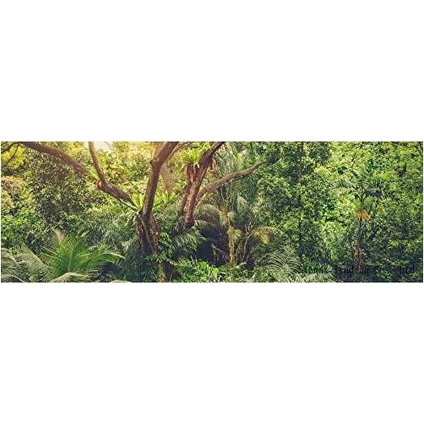 aquarium terrarium backgrounds main (tropical with sun, 72”l x 18”h