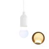 thumbnail image 2 of LJNYFDC Hanging Light LED Camping Tent Light Soft Flicker Free Eye Protection Compact Portable Decorative Retro Fixture, 2 of 6