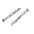thumbnail image 1 of Tornillo para Madera Phillips de Cabeza Ovalada de Acero Inoxidable Numero10 X 2-1/2 (25 Pzas) Tornillos de Acero Inoxidable 18-8 (304) de Bolt Dropper, 1 of 7