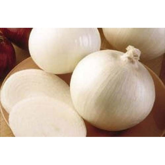 Onion White Sweet Spanish BULK 5,000 Seeds Great Heirloom Vegetable
