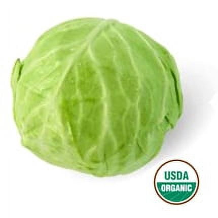 Fresh Organic Green Cabbage, Each