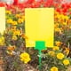 thumbnail image 4 of Rawiri Un juego de 30 etiquetas de plástico para semillas de plantas de flores de jardín., 4 of 7